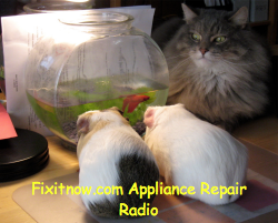 Fixitnow.com Appliance Repair Radio podcast, episode 18-- Listen now!